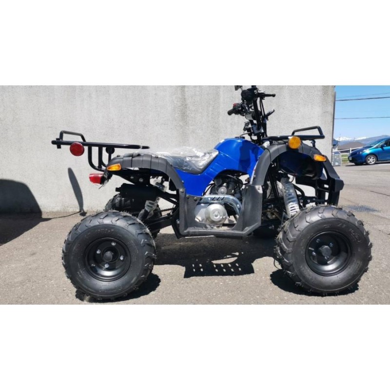 4輪バギー 人気 ATV 125cc