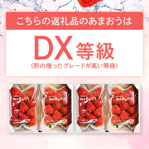  あまおう 合計約1,120g 約280g×4パック DX