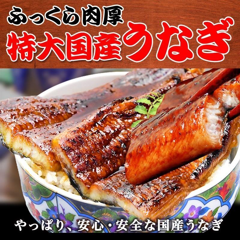 ギフト うなぎ 蒲焼き 国産 鰻 うなぎ蒲焼き 九州産 3尾 特大(約180〜200g前後×3尾)宮崎・鹿児島県産 送料無料