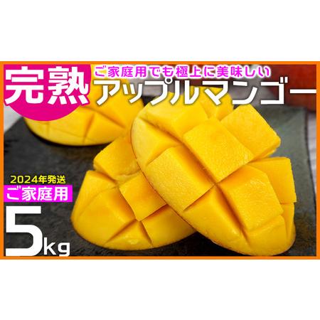 ふるさと納税 ご家庭用でも極上に美味しい完熟アップルマンゴー5kg　農園直送！ 沖縄県大宜味村