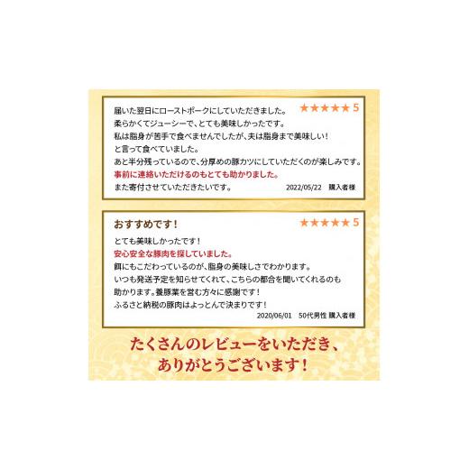 ふるさと納税 宮崎県 延岡市 延岡よっとん　肩ロース　ブロック約1.1kg　N003-ZA330