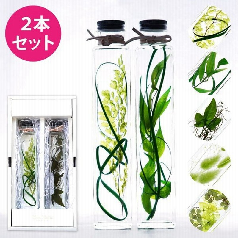 母の日 プレゼント グリーン プランツ ハーバリウム 2本 ペア セット 観葉植物 おしゃれ 花 ギフト 玄関 インテリア 誕生日 女性 引っ越し祝い 友人 通販 Lineポイント最大0 5 Get Lineショッピング
