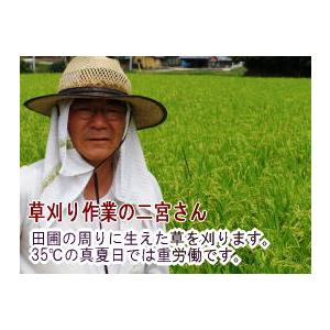 （令和4年度産・新米）元気米玄米10kg