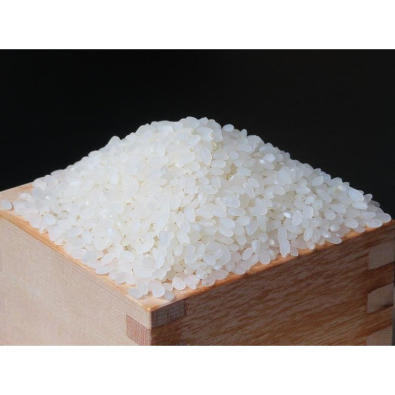 令和5年長野県産新米ミルキークイーン炊飯食味値91点極上白米9kg有機肥料100%使用ミネラルタップリ美味しいお米は農家直送送料無料