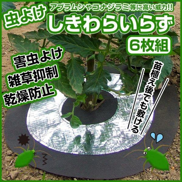 家庭菜園 虫よけ アルミシート6枚セット 虫除け 防虫 カバー 雑草抑制 乾燥防止 農薬不使用 苗植え後 野菜 害虫対策 ハーブ 菜園用  しきわらいらず 6枚組 LINEショッピング