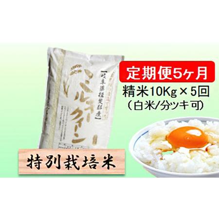 ふるさと納税 特別栽培米★[定期便] 5カ月★毎月 精米10kg（白米 7分 5分ツキ可）　玄米は別に出品 岐阜県池田町