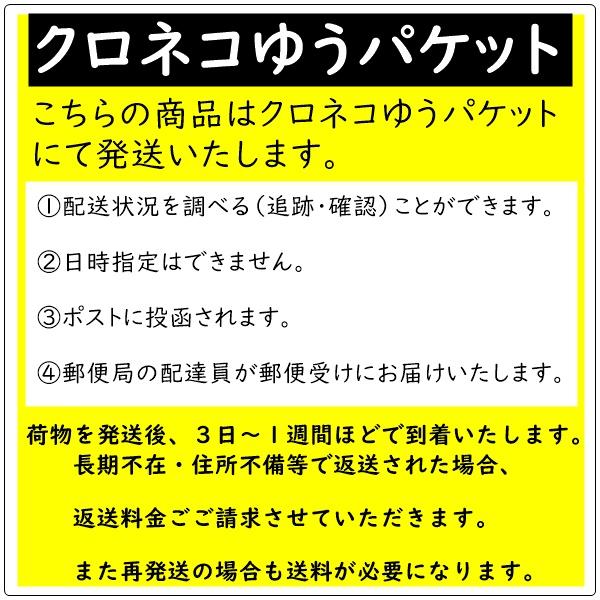 ドライパイン たっぷりサイズ 500g フィリピンの セブ島産 完熟パイン使用 半生タイプ クロネコゆうパケット０便発送