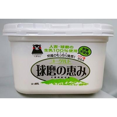 ふるさと納税 人吉市 球磨の恵みヨーグルト　砂糖不使用　1kg入り×6パック