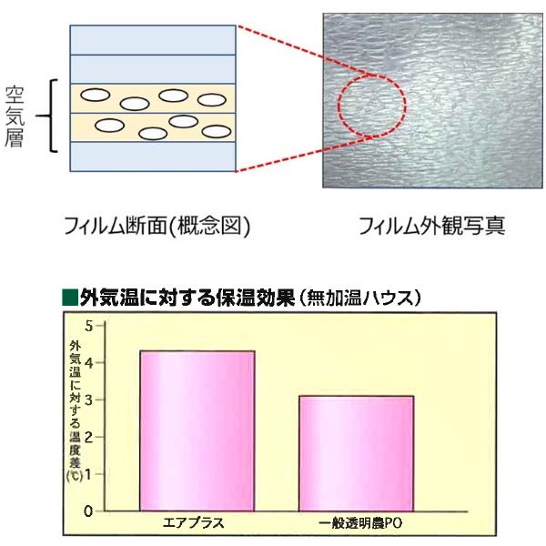 タキロンシーアイ　独立気泡構造農業用PO　スカイコート5エアプラス　幅185cm×長さ100m