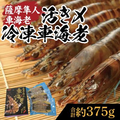 ふるさと納税 霧島市 活き〆冷凍車海老「薩摩隼人車海老」約125g(4〜6尾入)×3パック　B-014