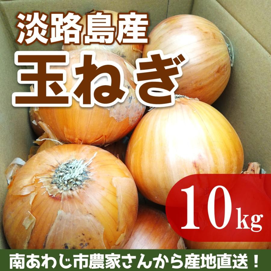 訳あり　サイズ不揃い　淡路島　玉ねぎ 　たまねぎ 10kg　淡路島産　玉葱　タマネギ