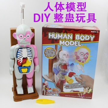 《翔翼玩具》人體器官模型玩具 人體探索科遊戲 人體模型玩具 人體模型遊戲 玩具 桌遊 12-1155 安全標章合格玩具