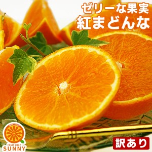 愛媛産 紅まどんな (家庭用) 2kg 訳あり・不揃い愛媛県産 紅マドンナ あいか 愛媛果試第