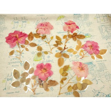 {布布村}粉色花朵貼紙 週末花店系列 植物手帳日記 DIY貼紙