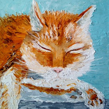 油畫原畫 小貓在睡覺。 20x20 厘米。無框的