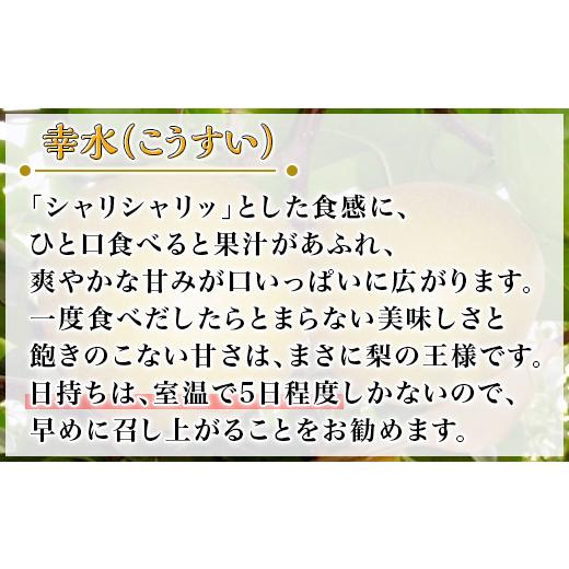 ふるさと納税 茨城県 下妻市 茨城県産「幸水梨」約5kg