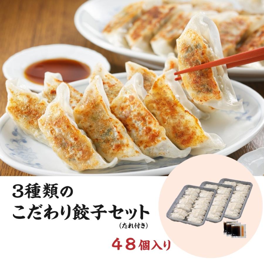 3種類のこだわり餃子セット　16個×3袋　醤油たれ×３袋　 タレ付き　送料無料　冷凍便