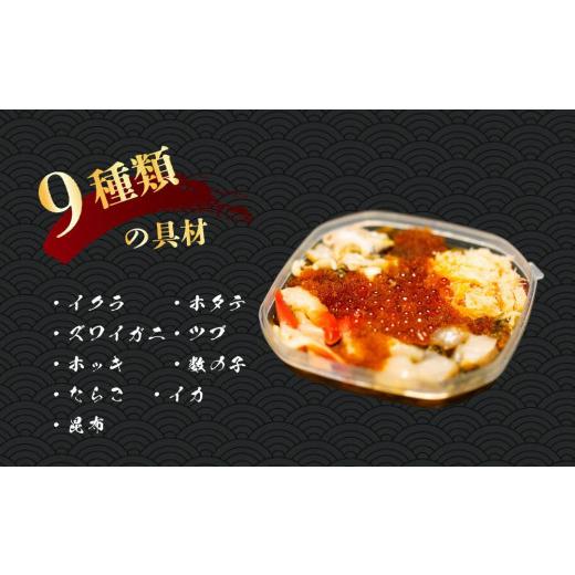 ふるさと納税 北海道 札幌市 9種類の具材が入った！北海海鮮丼300g（150g×2個）