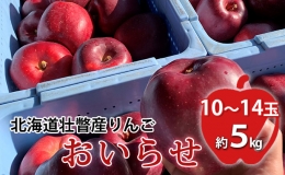 ＜2024年11月初旬よりお届け＞北海道壮瞥町　りんご　品種名「おいらせ」10～14玉約5kg