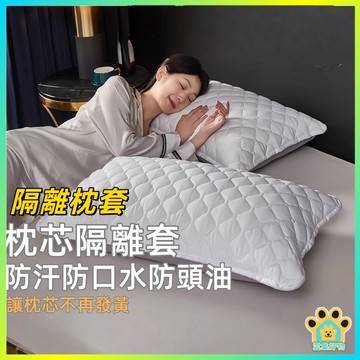 台灣出貨🔥防水枕頭套 枕套 枕頭套 枕頭枕芯保護套 枕頭保潔墊 防水枕套 可水洗枕頭套 防止枕芯發黃 家用成人枕套