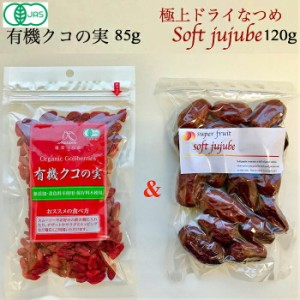 スーパーフード スーパーフルーツのゴールデンセット！クコの実 ORGANIC GOJIBERRY 85ｇ   無農薬 極上ドライなつめSOFT JUJU