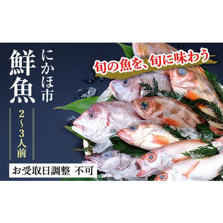 ふるさと納税 発送メールのみ 日本海の鮮魚詰め合わせ（2〜3人前 下処理済み 切り身 魚介 セット） 秋田県にかほ市