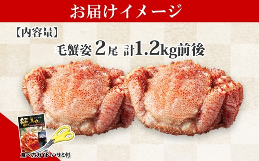 1217. 毛蟹 2尾 計1.2kg前後 食べ方ガイド・専用ハサミ付 カニ かに 蟹 海鮮 ボイル 送料無料 北海道 弟子屈町