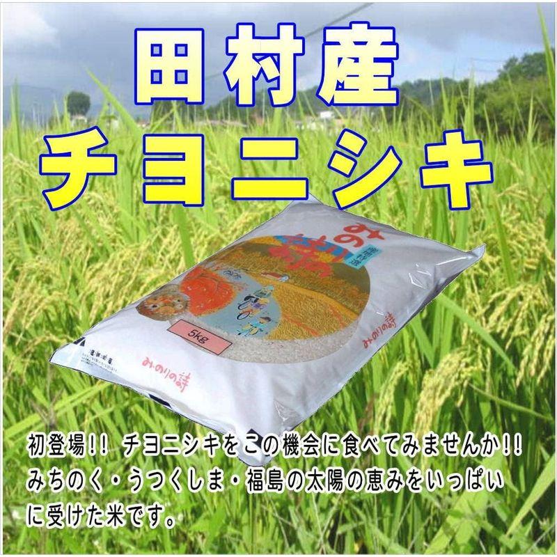 福島県田村産 白米 チヨニシキ 5kg 令和4年産