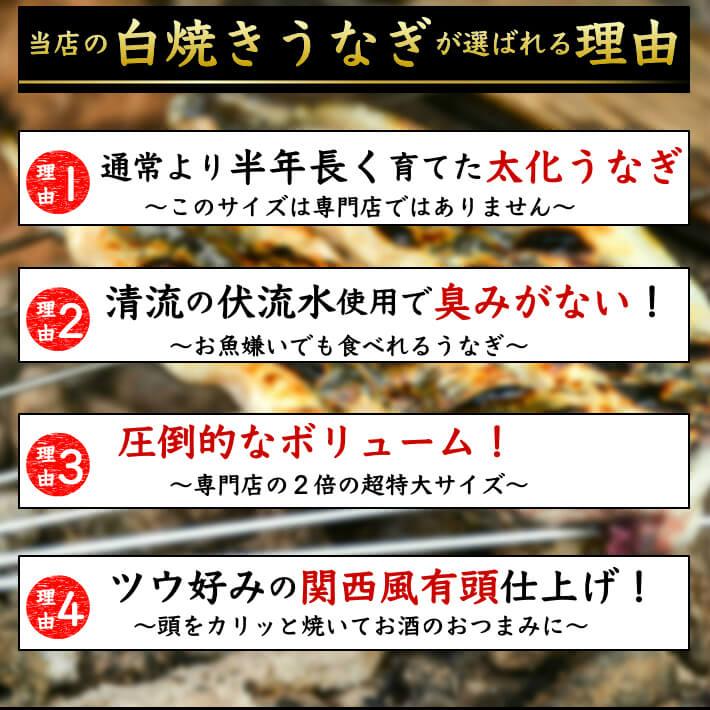 国産 白焼き 特大うなぎ メガ盛り ハーフカット 約1,2kg 10人前以上