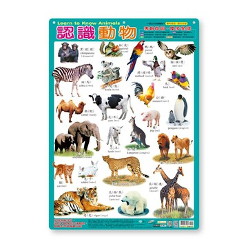 89 - 幼兒學習掛圖：認識動物 B2462-1A(尺寸約49*69公分)