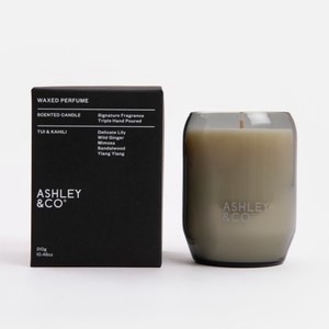 ASHLEY & CO.蠟燭310g 圖伊與卡希利