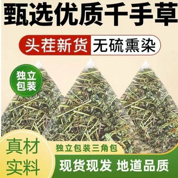 熱賣推薦✨特級茶包 千手草 3公克/袋 獨立包裝 正宗原材料 泡水 煮水 養生茶 泡茶 家庭裝 辦公室 真材實料