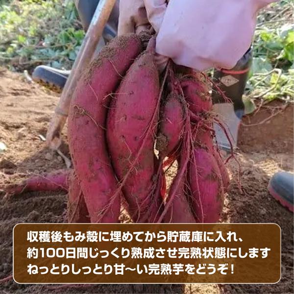 完熟さつまいも 長期熟成 約3.0kg 香川県産 2種詰合せ 安納芋・紅はるか  送料無料