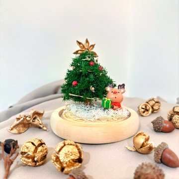 蒔漫花間－馴鹿奇緣 交換禮物 迷你聖誕樹玻璃盅 聖誕樹