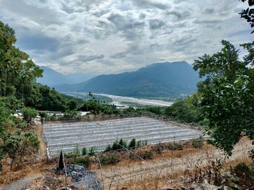 百坪丙建+景觀農牧用地(買地送屋)｜南投縣水里鄉社子段
