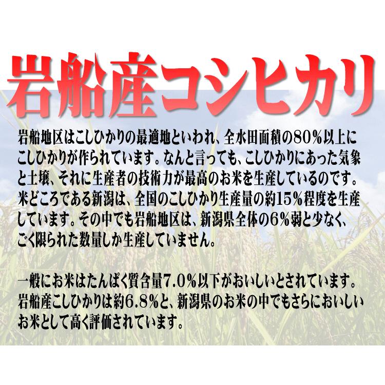 新潟県岩船産こしひかり　10kg(5kg×2) 