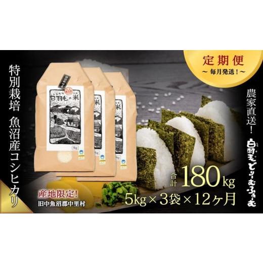 ふるさと納税 新潟県 十日町市 ≪令和5年産≫農家直送！魚沼産コシヒカリ特別栽培「白羽毛の米」精米(5kg×3袋)×12回 180kg