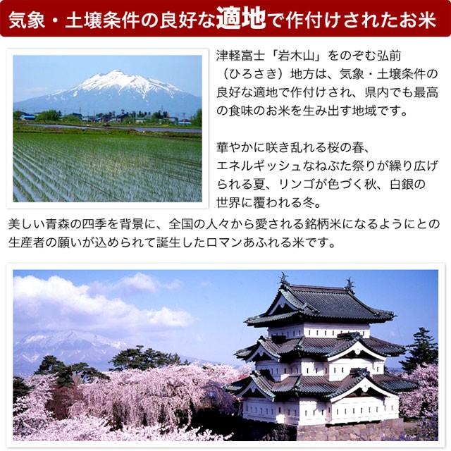 新米 令和5年産 無洗米 10kg (5kg×2袋)  減農薬米 青森県産 つがるロマン ひろさき指定 米 お米 送料無料