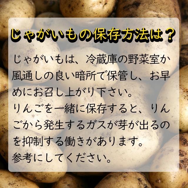 出荷開始中 新じゃがいも じゃがいも 送料無料 北海道旭川 平田農場のじゃがいも（とうや・男爵・キタアカリ・メークイン）Lサイズ 5kg   産地直送