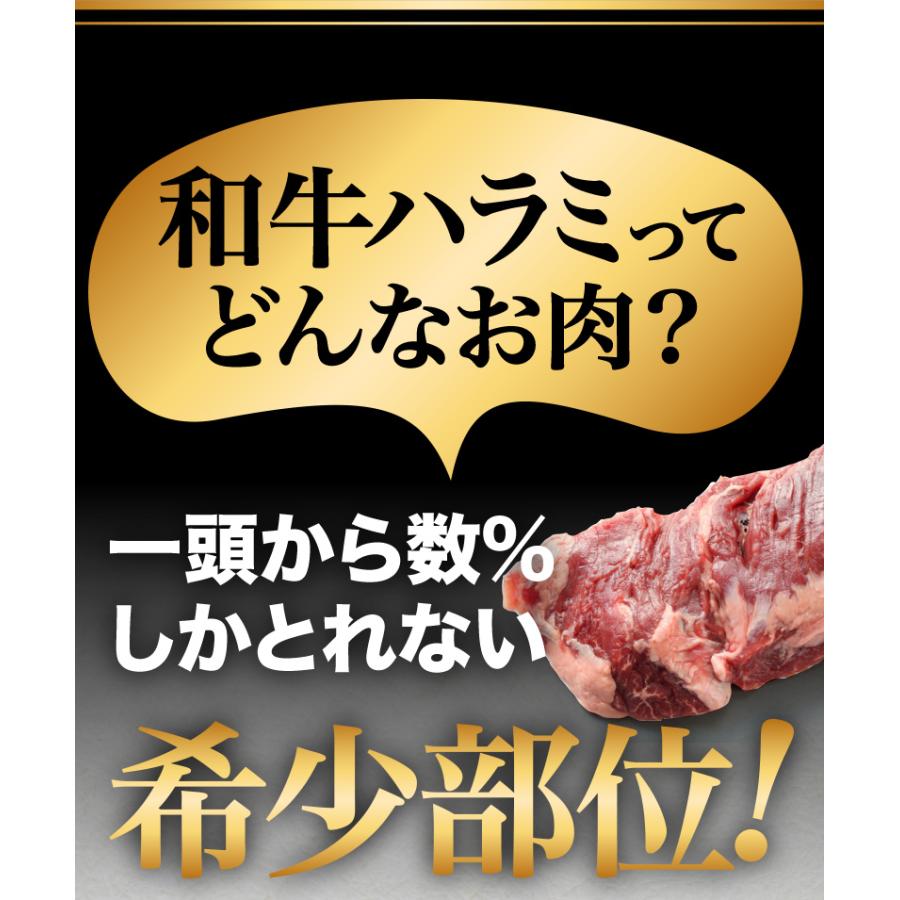 宮崎和牛 黒毛和牛ハラミ もみダレ漬 200g（200g x 1袋） 焼肉用 BBQ 赤身  冷凍 クール 送料無料