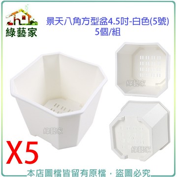 【綠藝家】景天八角方型盆4.5吋-白色(5號)5個/組