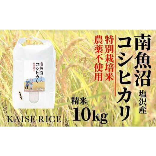 ふるさと納税 新潟県 南魚沼市 南魚沼産塩沢コシヒカリ（農薬不使用）精米１０ｋｇ