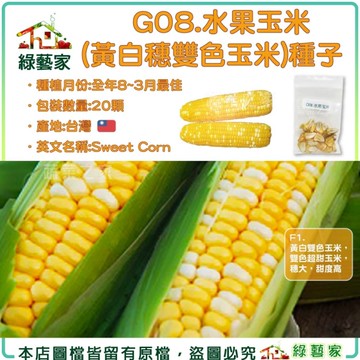 【綠藝家】G08.水果玉米種子20顆 (F1.黃白雙色玉米，雙色超甜玉米，穗大，甜度高)