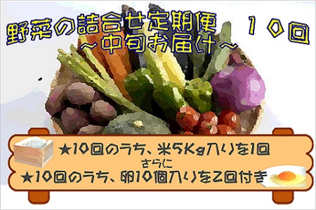 米5㎏と卵20個付き！野菜の詰め合わせ定期便10回(中旬)