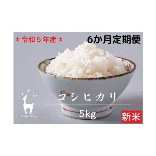 ふるさと納税 京都府 京都市 〈6か月定期便〉令和5年産 京都ファームのコシヒカリ ５kg