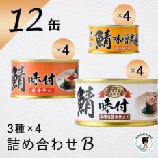 鯖缶詰12缶詰め合わせ B