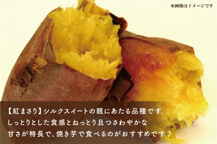 AE-69　冷凍焼き芋　3種セット（紅優甘、行方の紫福、紅まさり）各種4本