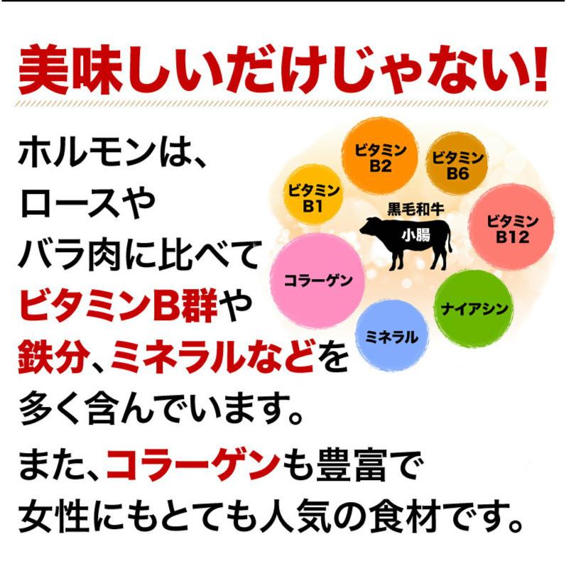 黒毛和牛 ホルモン 焼き肉 小腸 味噌だれ漬け 400g 宮崎県産 送料無料 BBQ おつまみ おかず クール便