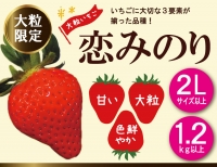 食卓で会話が弾む♪ 雲仙わくわく定期便 毎月お届け 12回コース 何が届くかお楽しみ！[item0817]