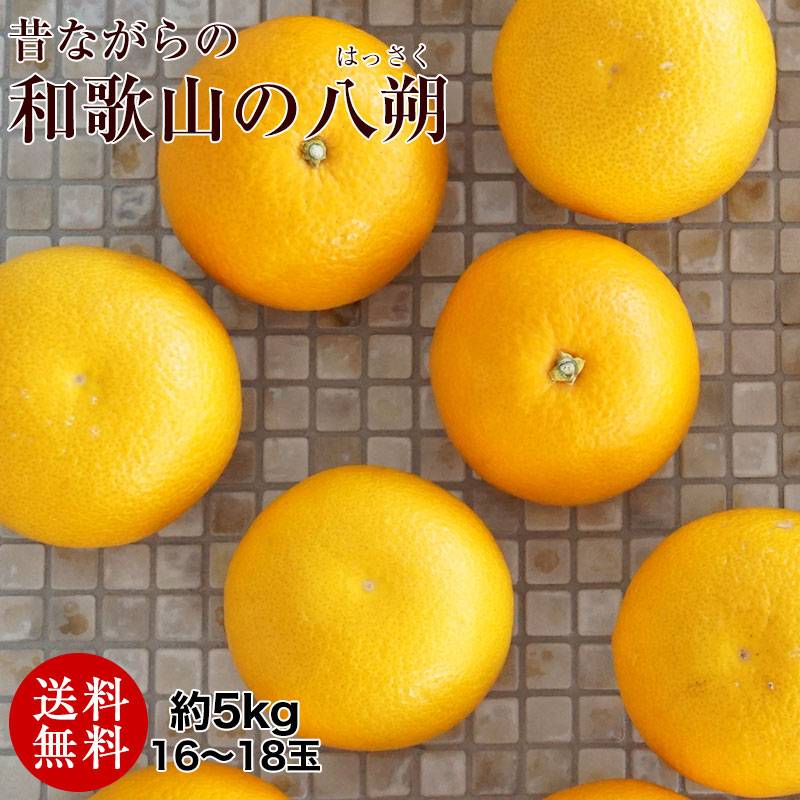 ご予約開始和歌山の八朔（ハッサク）約5kg 減農薬・有機肥料栽培  L～2Lサイズ 上品な甘み、程よい酸味、独特の苦みが美味しいはっさく 送料無料※北海道、沖縄除く（了承済み×(指定日不可)）